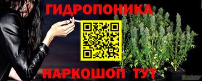 прущие грибы Белореченск