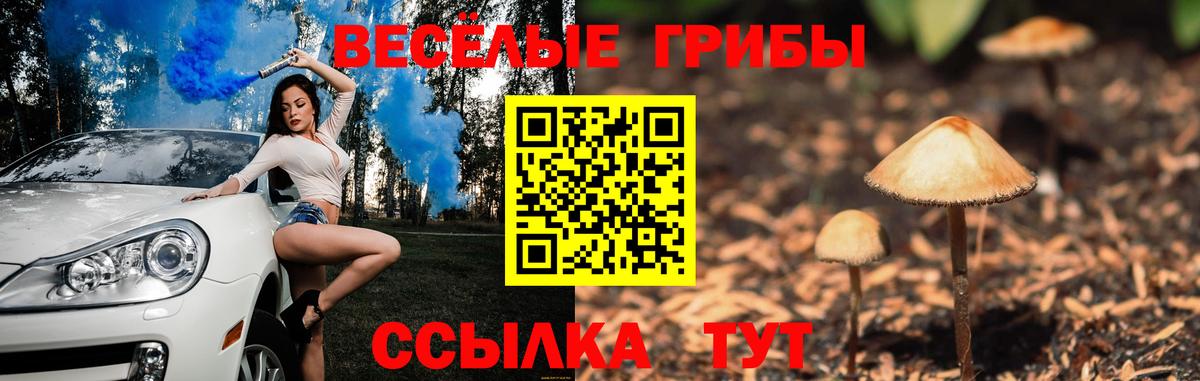 Галлюциногенные грибы мицелий Всеволожск