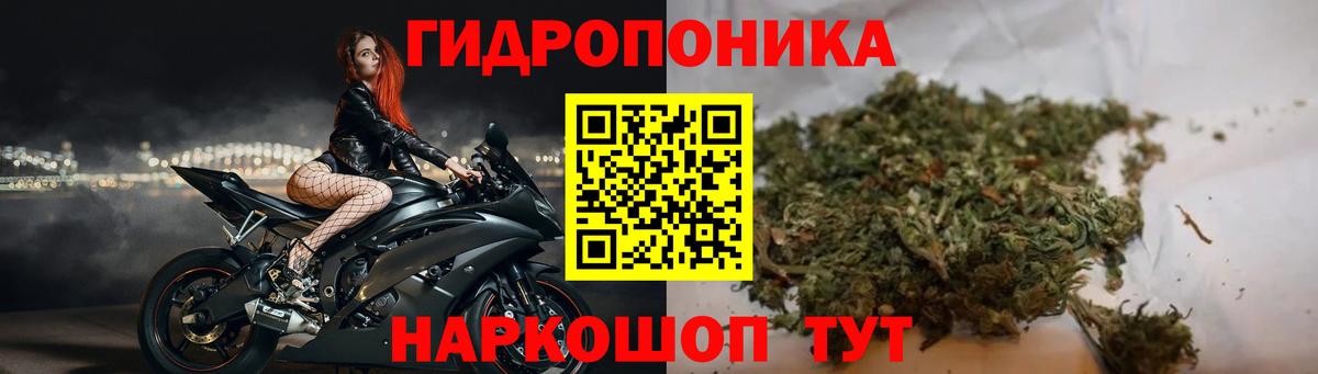 Всеволожск  Конопля Amnesia  Вход с VPN  Каннабис план  Каннабис конопля 